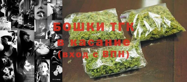 прущие грибы Няндома