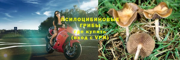 гидропоника Инта